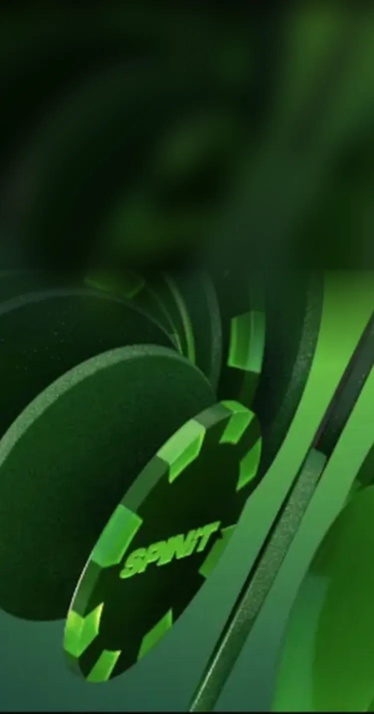 Spinit